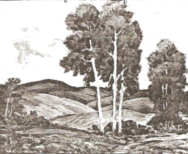 Near Flat Canyon