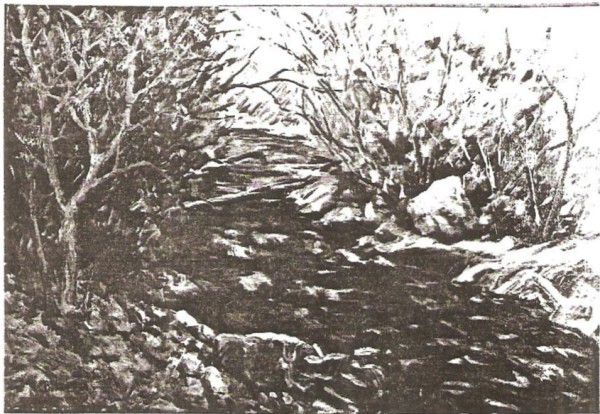 North Fork Creek