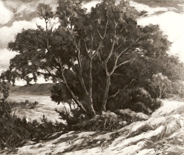 September Trees