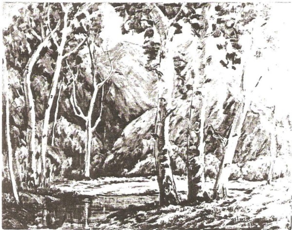 Mountain Retreat