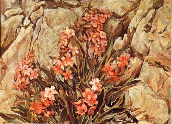 Alpine Flowers