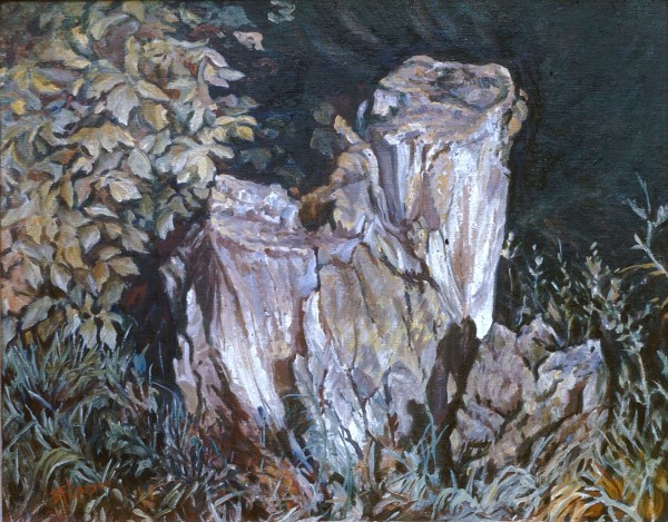 Tree Stumps