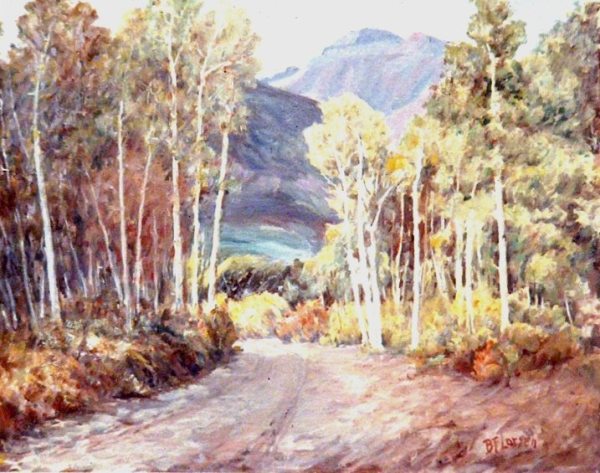 The Loop Road