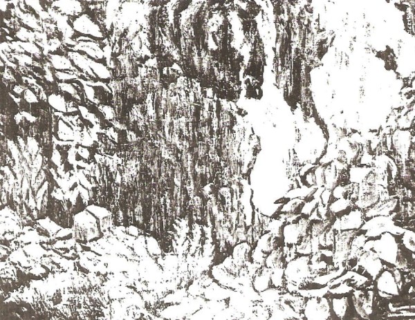 Weeping Rock #1