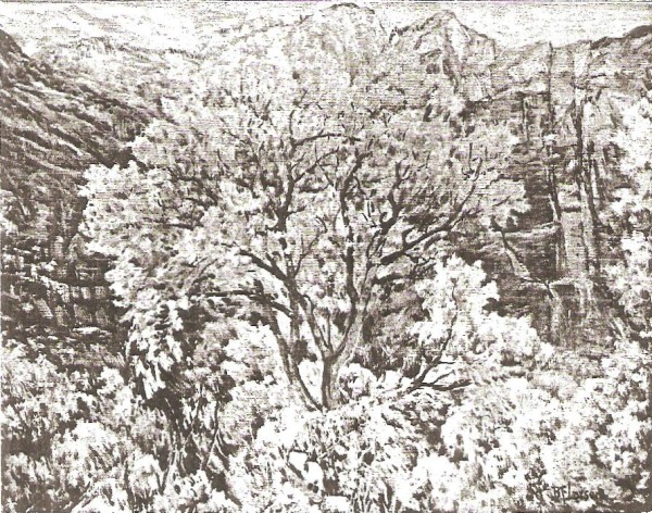 Autumn in Zions Canyon