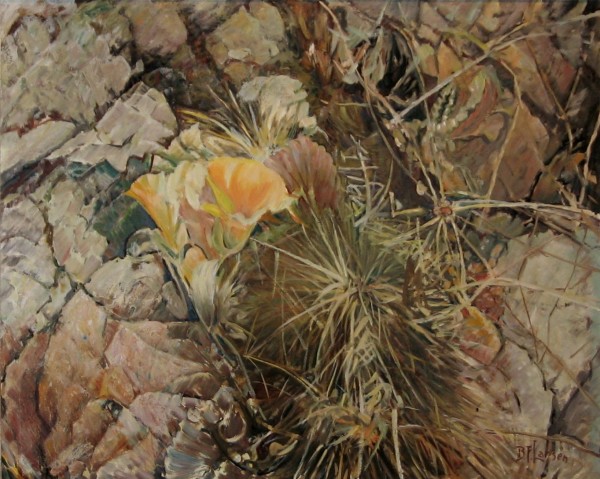 Desert Carpet
