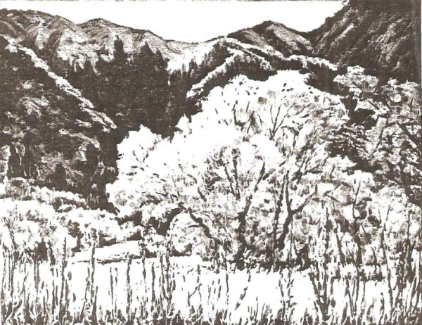 In Provo Canyon