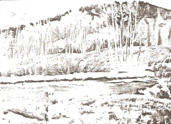 Schofield Aspens