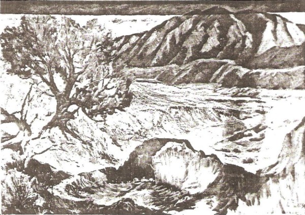 Sunlit Valley