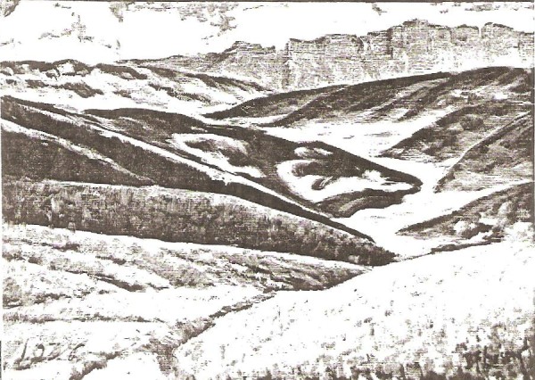 Desert Shapes