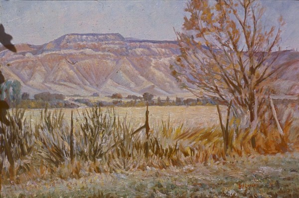 Field Near Richfield