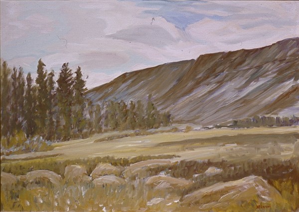 Green Mountain Meadow