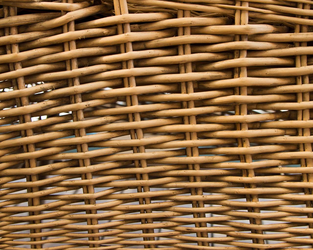 Bambu Nedir? Bambudan Neler Yaplr? Bambu Hakknda Herey | Kam Hasr