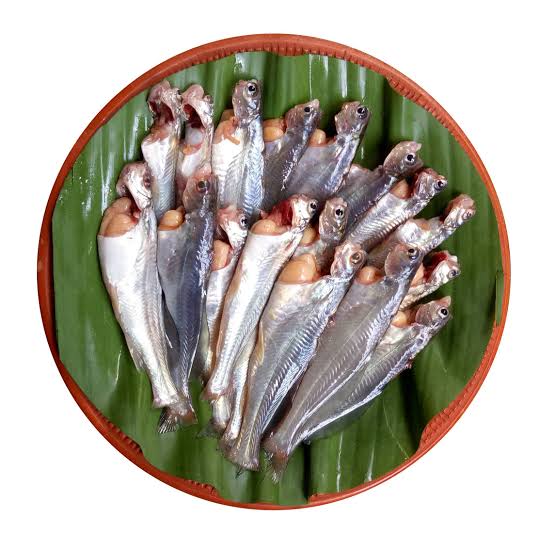 Gulsh Tengra Large-1kg