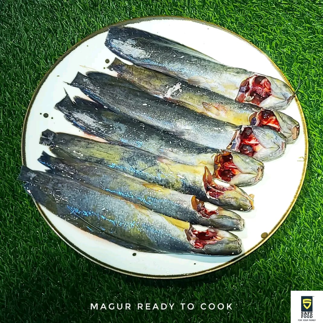 Deshi Magur Fish 1 Kg