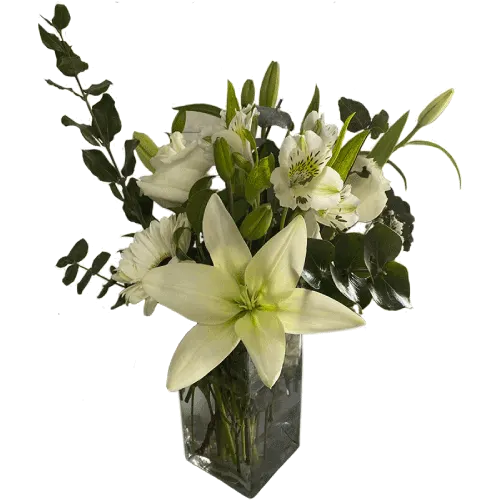 Arreglo Blanco Elegante