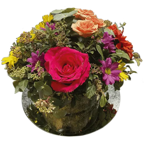 Primavera Variada
