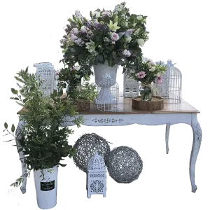 Bienvenidas / Buffet