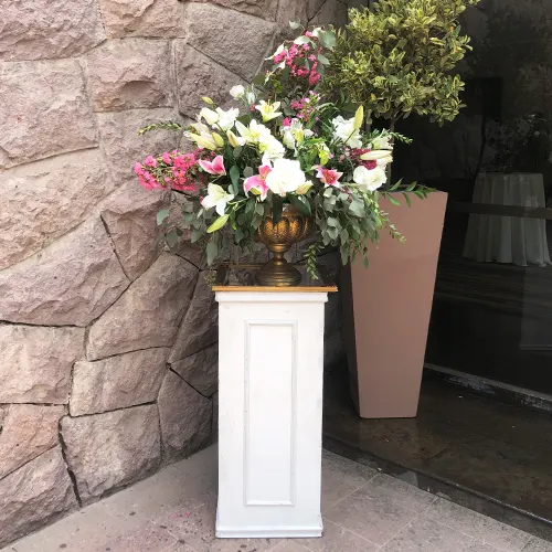 Columna Blanca