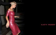 Katy Perry : Sexy Wallpapers x 23