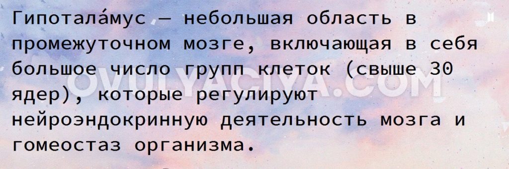 Гипотала?мус