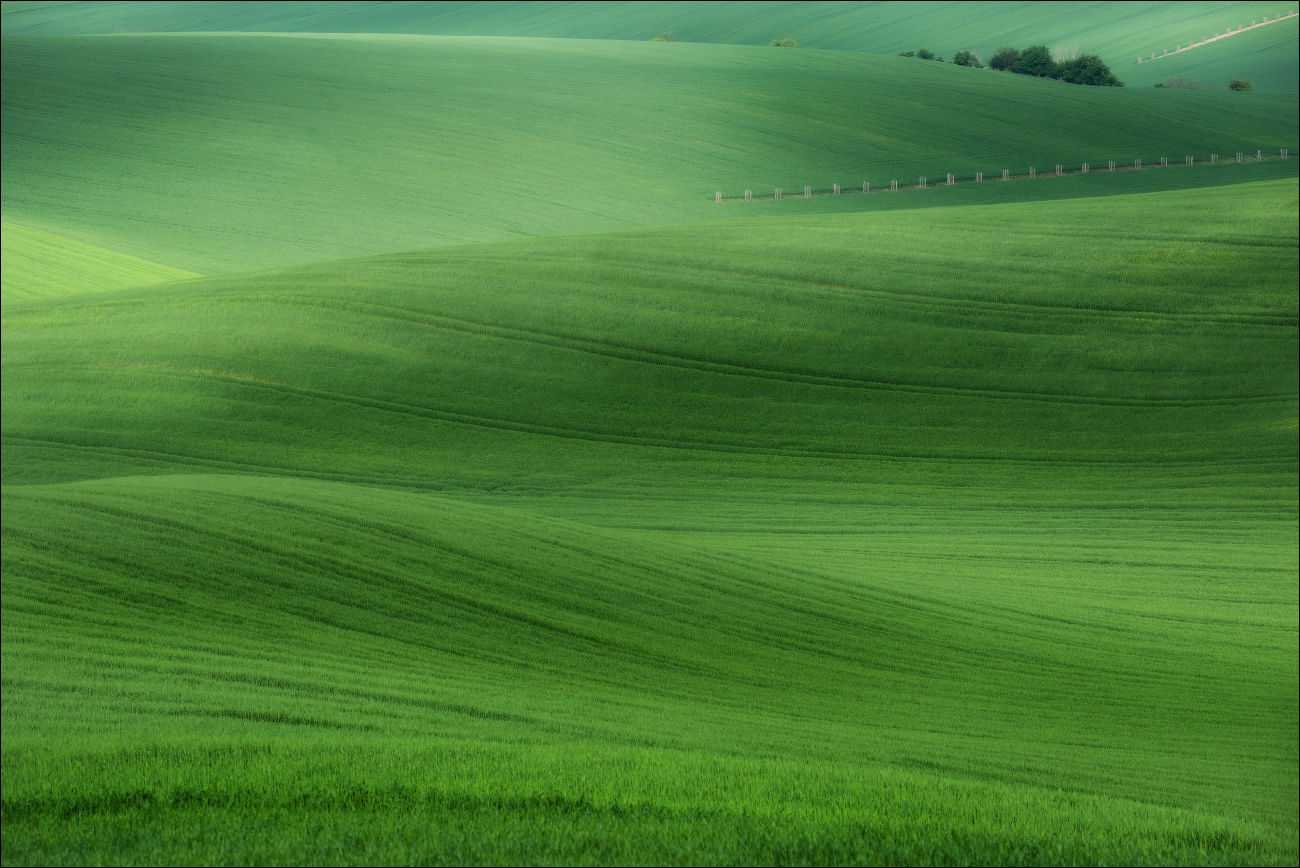 Фотограф Влад Соколовский