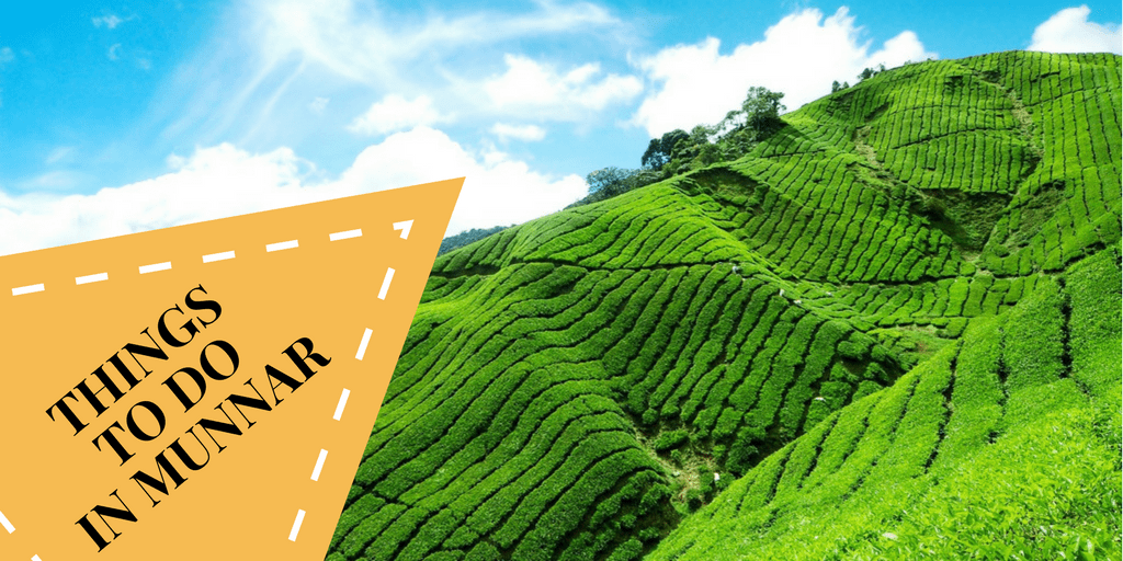 The Best Things To Do In Munnar The Best Things To Do In Munnar