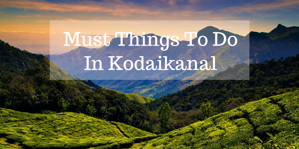 Things To Do In Kodaikanal Things To Do In Kodaikanal