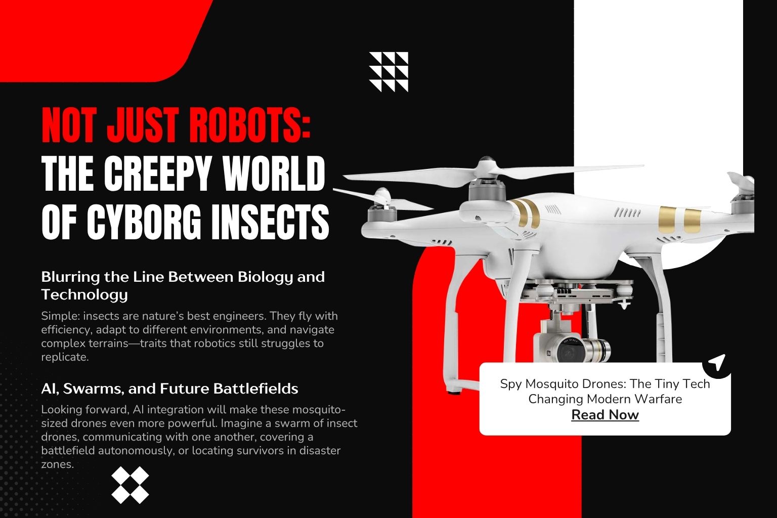 Cyborg Insects