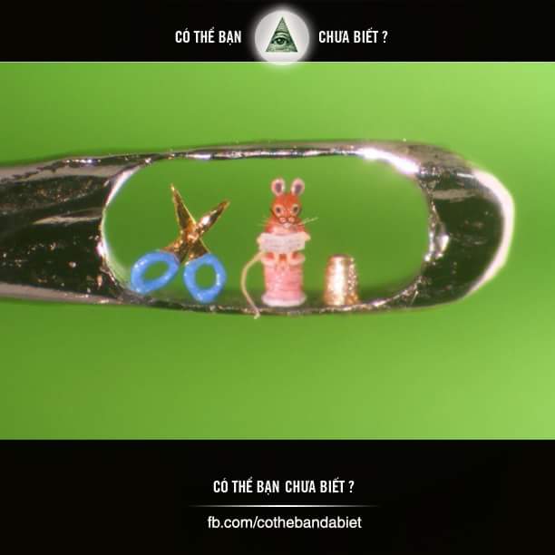 Nhà điêu khắc Willard Wigan, sinh ra ở Birmingham, tạo nên một phong cách nghệ thuật mà hầu...