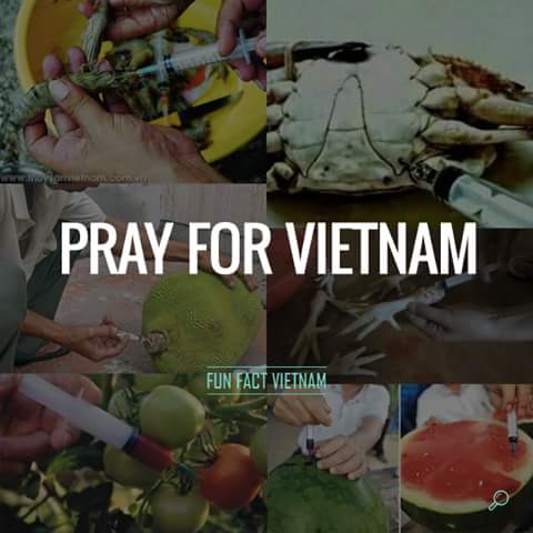 Nhà thằng Trung ở đầu mương, thằng Thái với thằng Việt ở cuối mương. Ngay khi nhà thằng Trung...