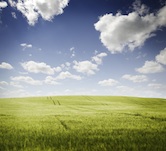 Innovators Leading The Rural Revolution