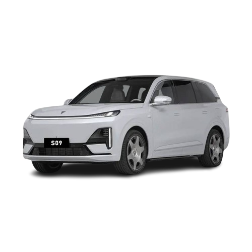 Russian Localization & Software Installation for Deepal S09