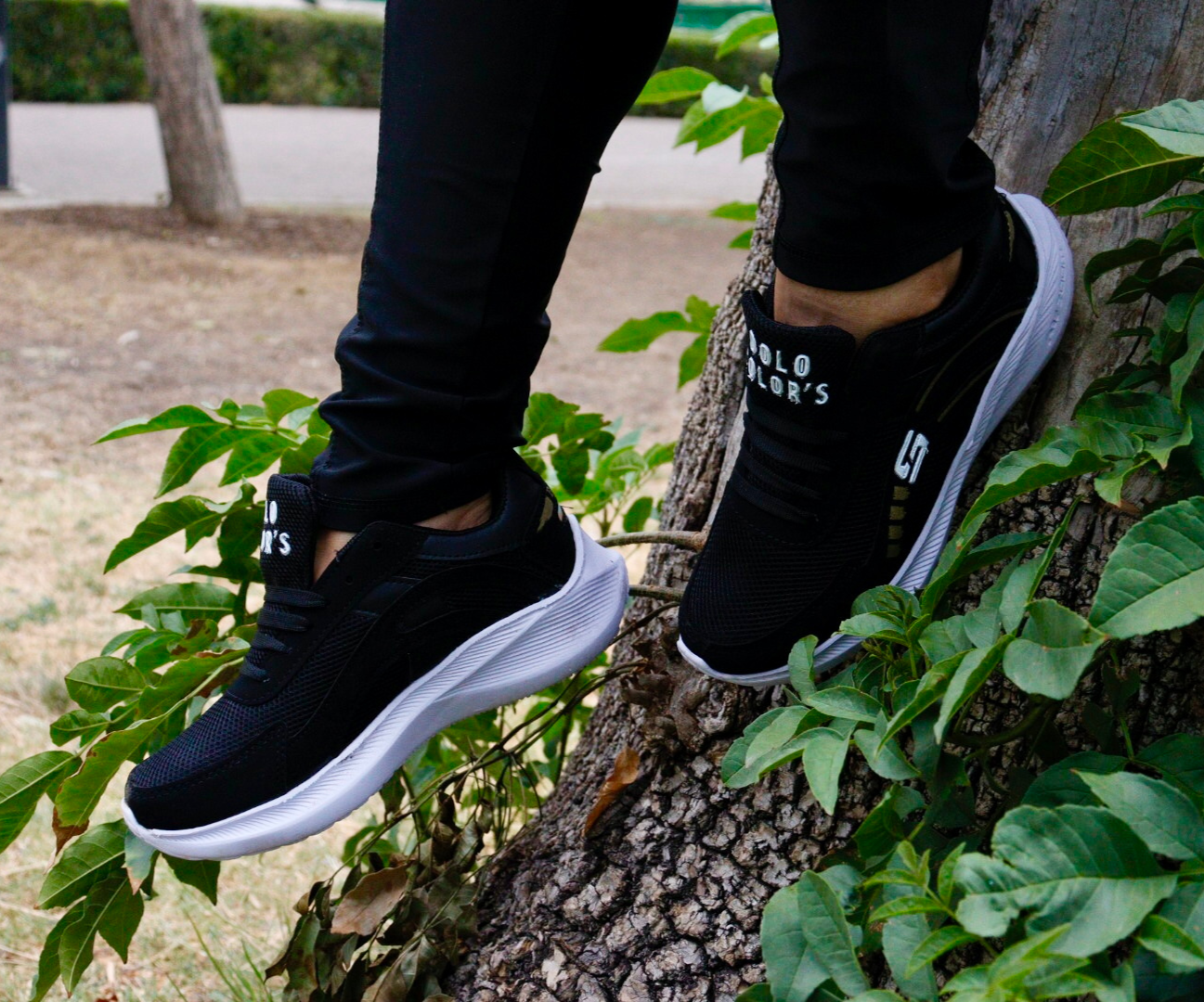 Imagen principal caballero