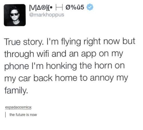 funny pictures, mark hoppus tweet true story i'm flying right now