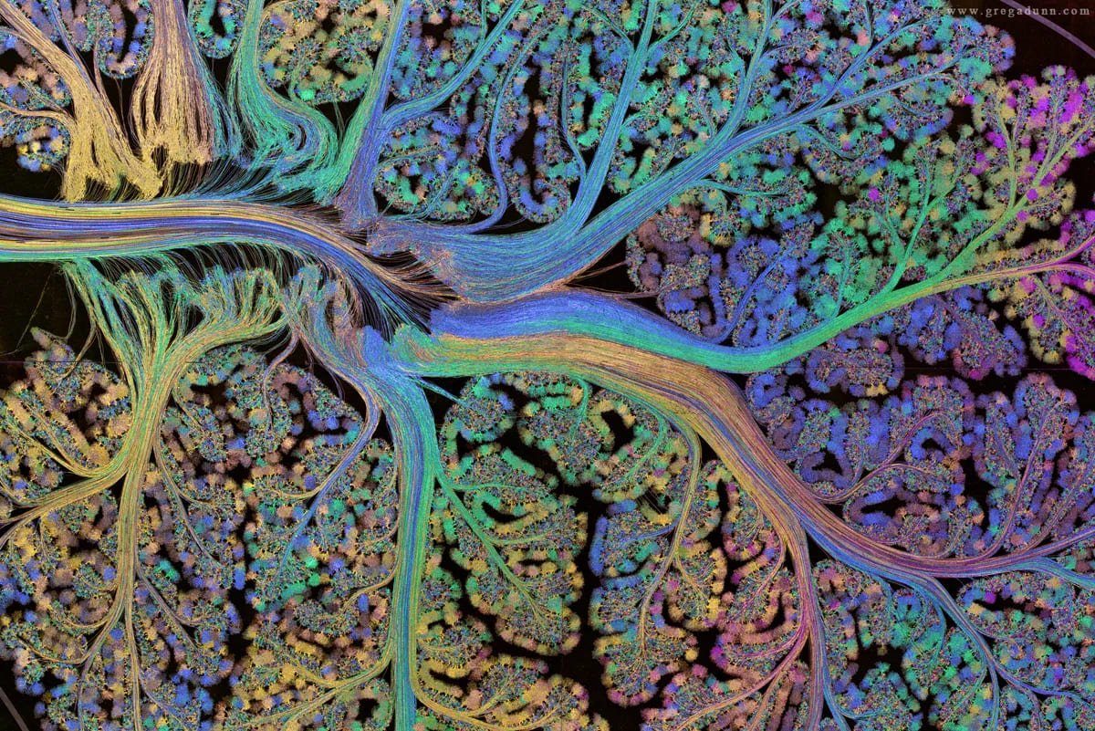 From Code to Consciousness: Why Your Brain Is the Most Fascinating Software