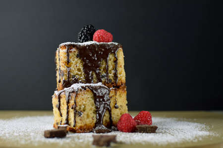 Chocolate sponge cake with red berries