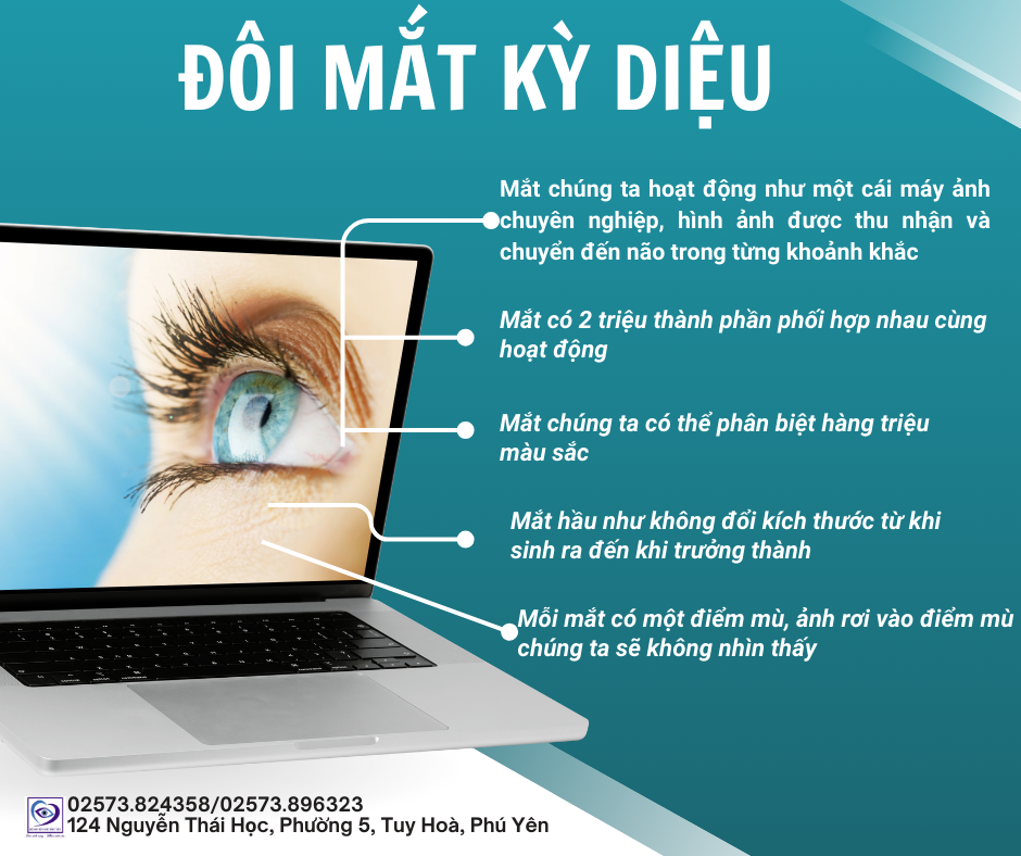 Đôi mắt kỳ diệu