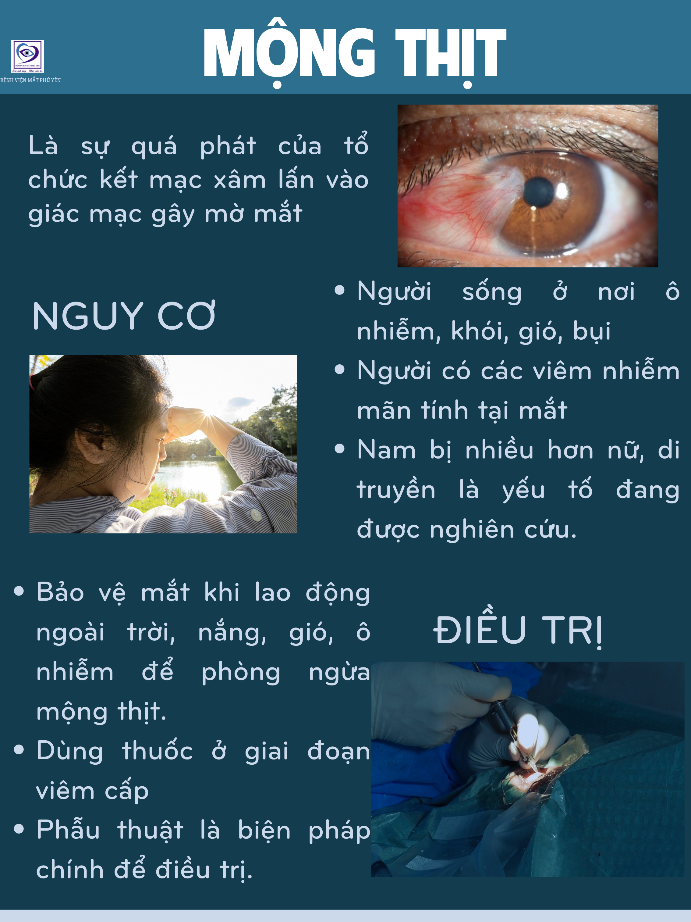 Mộng thịt