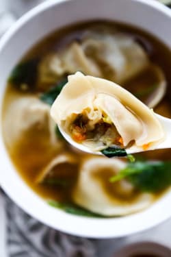 Chinese Veg Wonton (v)