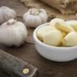 Garlic
