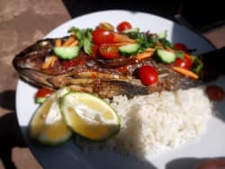Whole Tilapia