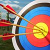 Archery Master 3D Cheats