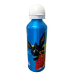 Aluminium Bottle BING