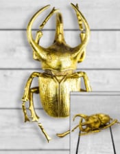 Extra Large Gold Beetle Wall Decor