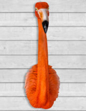 Large Flamingo Wall Head