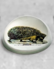 Glass Hedgehog Paperweight