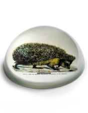 Glass Hedgehog Paperweight