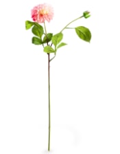 Single Pink Dahlia Stem (to be bought in qtys of 24)