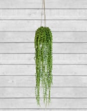 Ornamental Hanging String of Pearls Vine Arrangement (to be bought in qtys of 6)